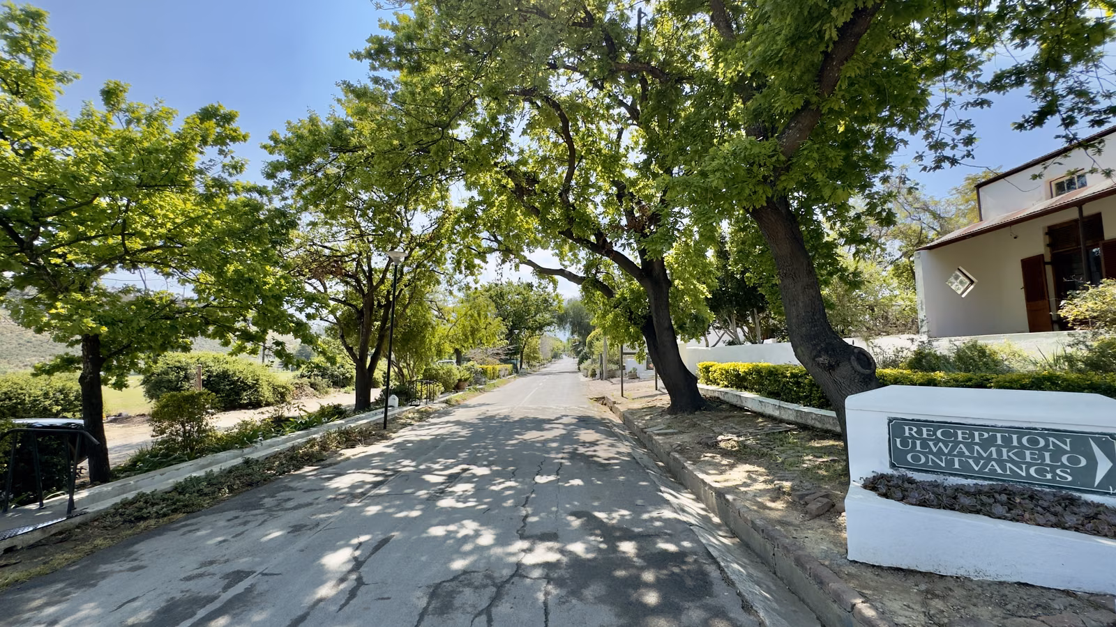 A tree-shaded lane leading to the reception of a Tulbagh heritage site