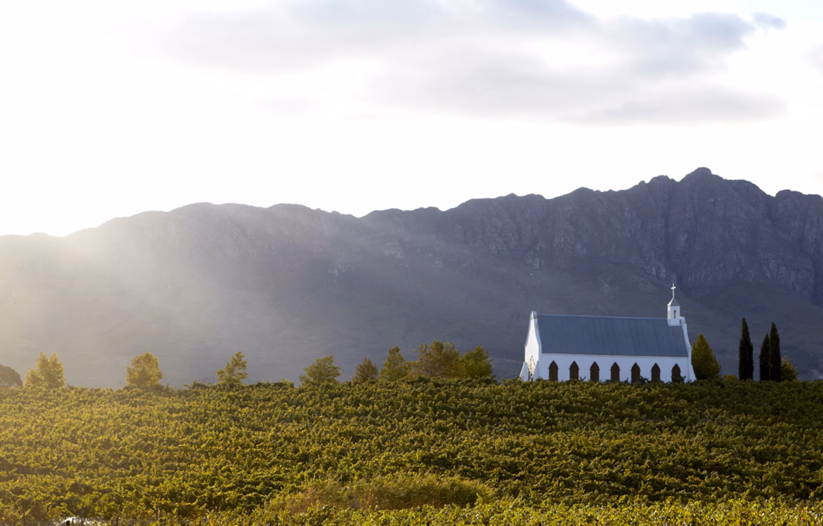 Montpellier — the estate chapel standing in the vineyards below the mountains in late sun