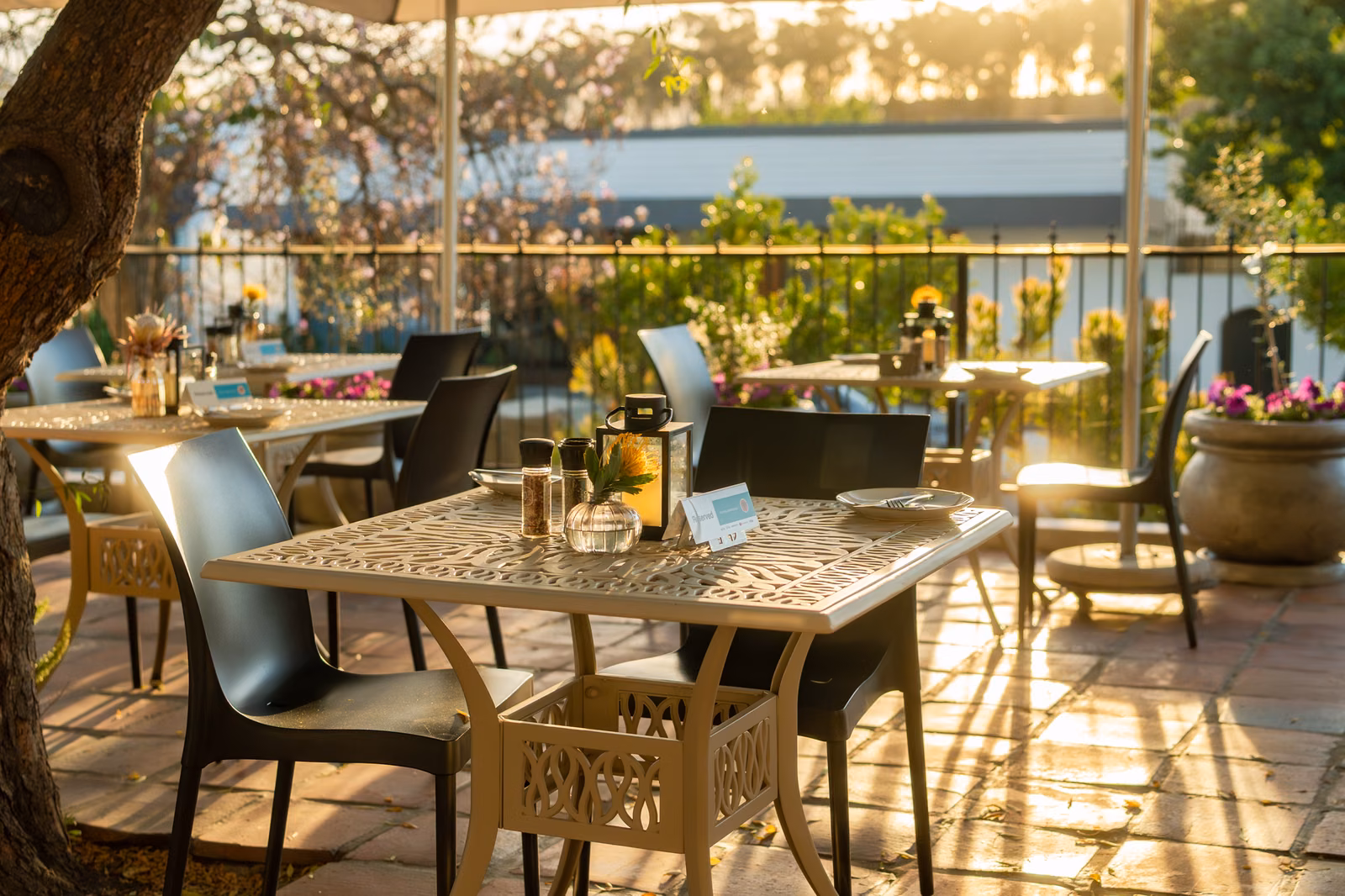 The Olive Terrace Bistro — laid tables on the paved terrace in late-afternoon sun
