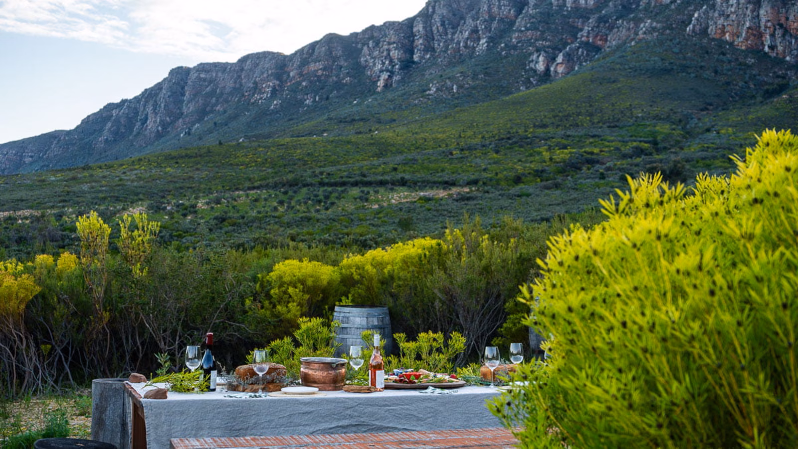 Oude Compagnies Post — a long table laid for lunch in the fynbos below the mountains