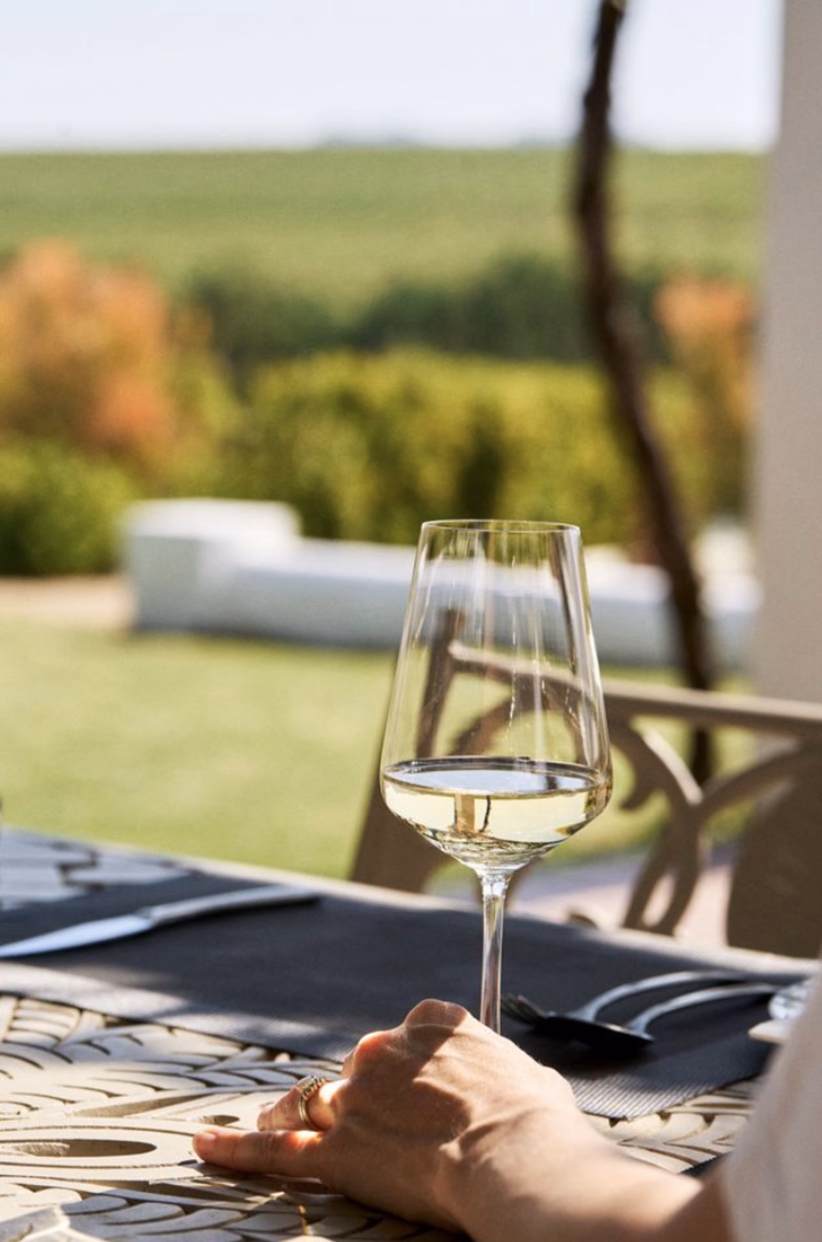 Rijk's — a glass of white wine on a laid table on the restaurant terrace, looking out over the vineyards